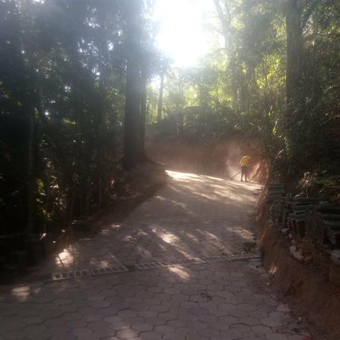 Lindo Terreno em meio à Natureza no bairro Fazenda - Foto 4