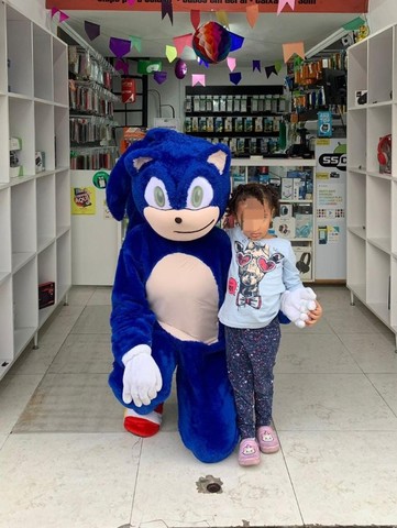 Fantasia Sonic Adulto