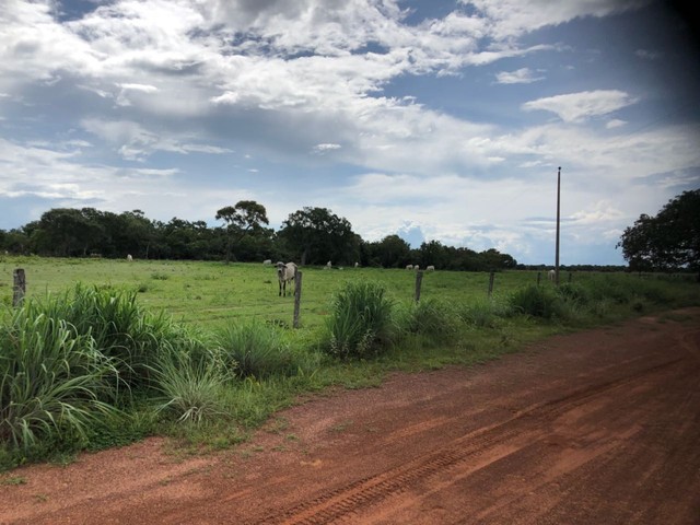 Fazenda  950 alqueires toda formada Sul do Estado município de peixe