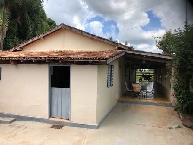 Fazenda  950 alqueires toda formada Sul do Estado município de peixe - Foto 4