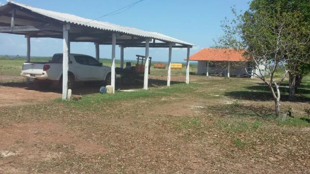 Fazenda em Pedro Afonso - 270 km Distante de Palmas - Foto 18