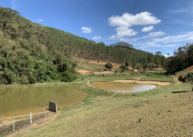 Vendo sítio em domingos martins - Foto 17