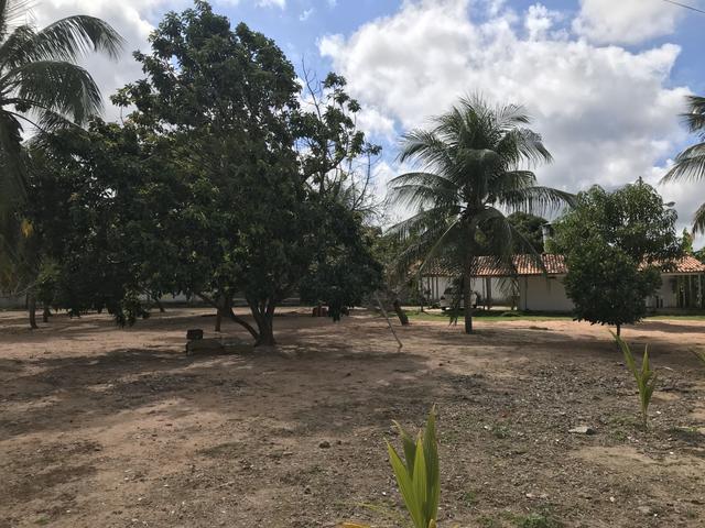 Vendo Área / Terreno na BR 101 Com 10.000m² Próx a Volvo, Baldessar Rondon e Rio Grandense - Foto 12