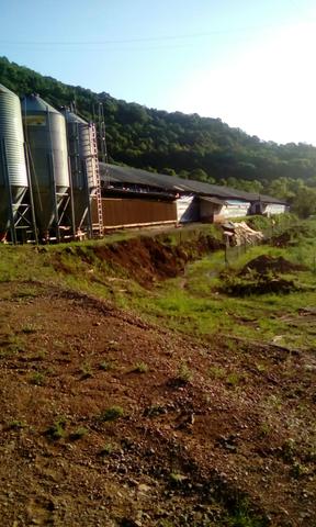 Imóvel rural - Foto 4