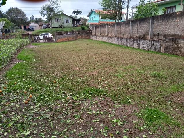Terreno urbano Itaiópolis - Foto 2