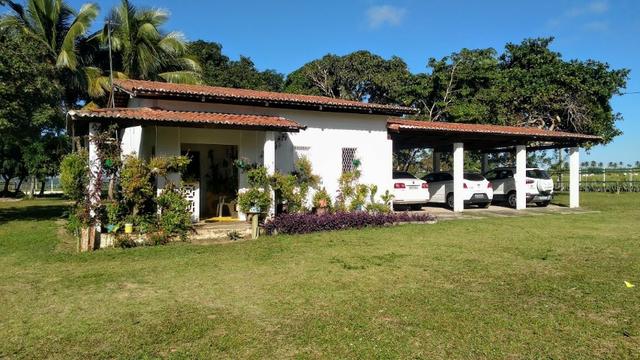 Fazenda 80,52 Ha -Com Açude - ideal Para Pecuária - Foto 6