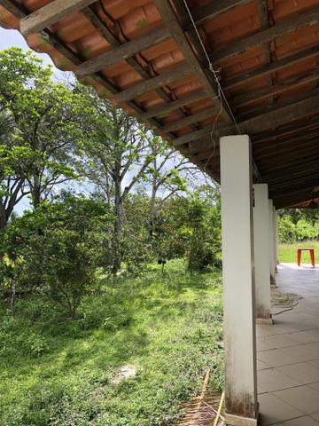 Vendo sítio com 29 tarefas - Foto 5