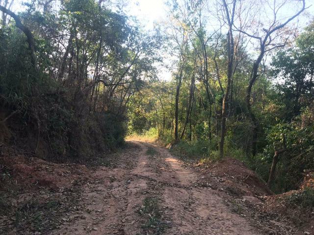 Grande black Friday terreno 10.000m2 de 120.mil a vista por 90 mil a vista - Foto 4