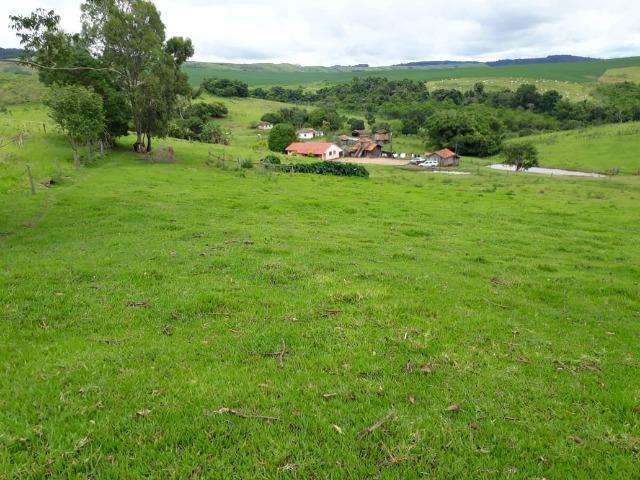 Sitio, 6 alqueires e meio, Siqueira Campos-PR - Foto 15