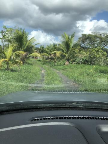 Vendo sítio com 29 tarefas - Foto 6