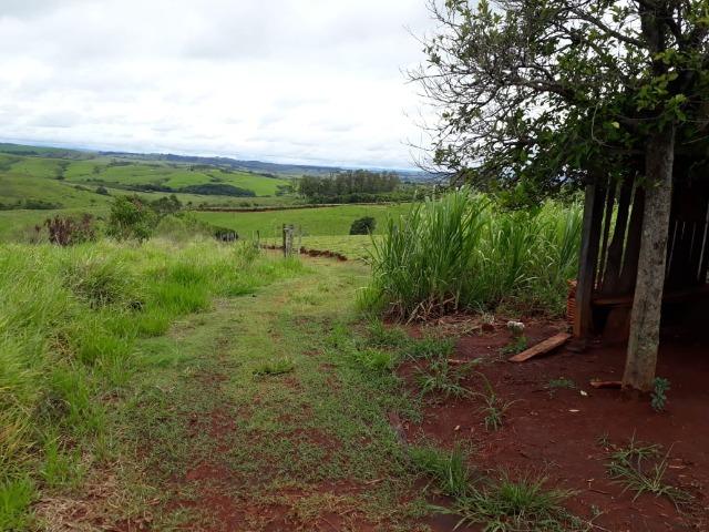 Sitio, 6 alqueires e meio, Siqueira Campos-PR - Foto 8