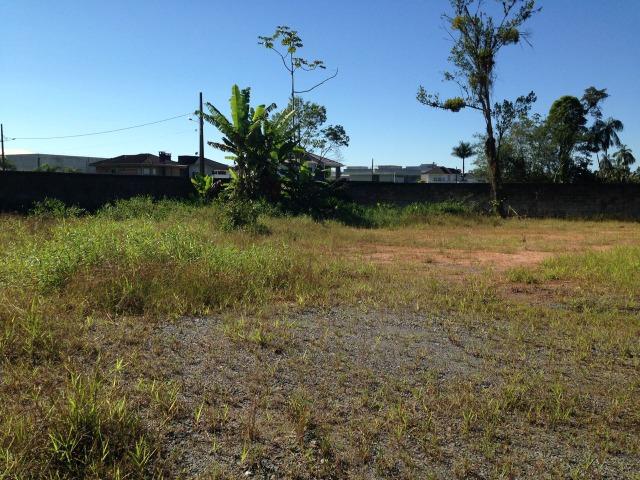 Terreno para alugar em Joinville/SC - Foto 4