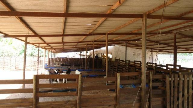 Vendo Fazenda com 250 ha, no Município de Touros - Foto 14