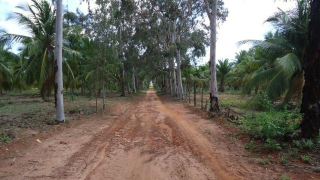 Vendo Fazenda com 250 ha, no Município de Touros - Foto 3