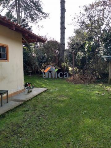 Casa, campo alegre - Foto 12