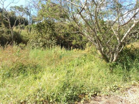 Terreno rural à venda, Venda Nova, Teresópolis - TE0060. - Foto 2