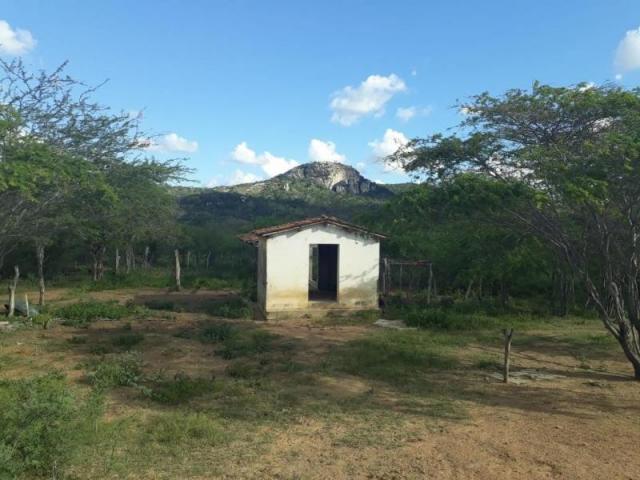 Fazenda para venda em santa cruz do capibaribe, centro - Foto 11