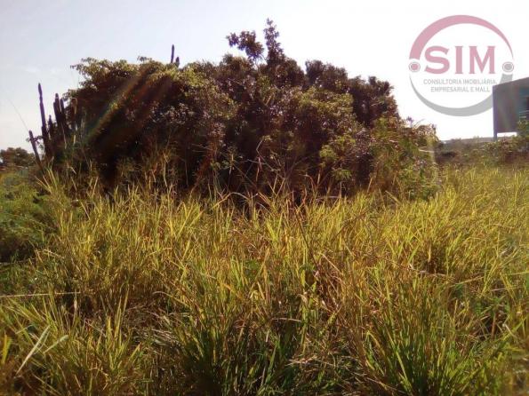Terreno à venda, 420 m² por r$ 80.000 - guriri - cabo frio/rj - Foto 10