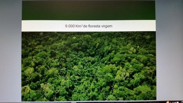 Fazenda na amazônia 913.000 hectares - Foto 7