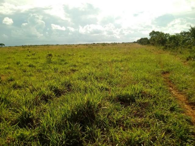 Vendo uma fazenda em rosário oeste