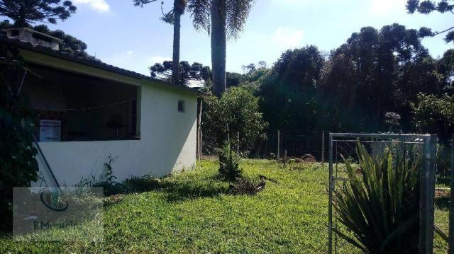 Chácara rural à venda, Campo Largo da Roseira, São José dos Pinhais. - Foto 11