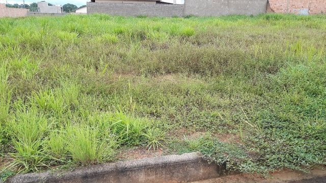 Venha morar no Greenville, excelente lote à venda, confira! - Foto 2