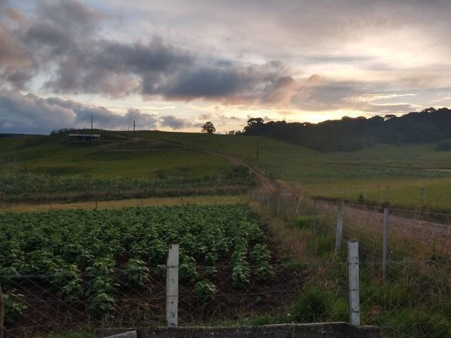 Chácara - Foto 3