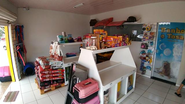 Petshop / Banho e Tosa completo - Foto 5