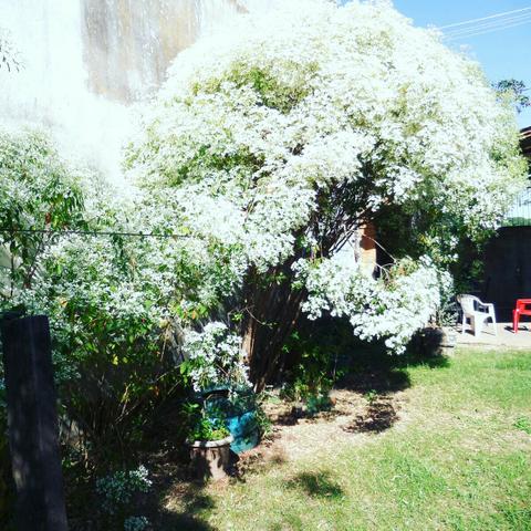 Kitinetes ao lado do passeio das águas - Foto 5