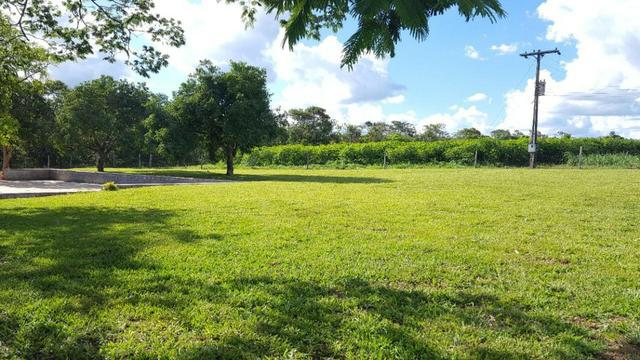 Ótima fazenda colado no Gama, a 27km - Foto 12