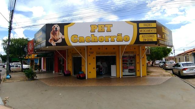 Petshop / Banho e Tosa completo - Foto 2