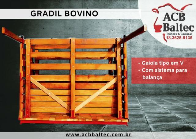 ACB Baltec - Balança bovina com Pescoceira - Foto 2