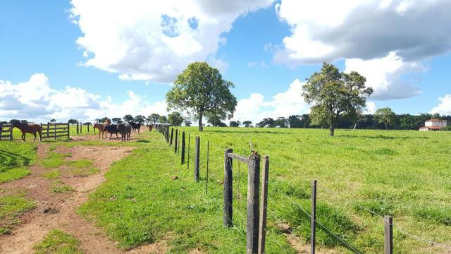 JP 012 - Ótima fazenda colado no Gama, a 27km - Foto 10
