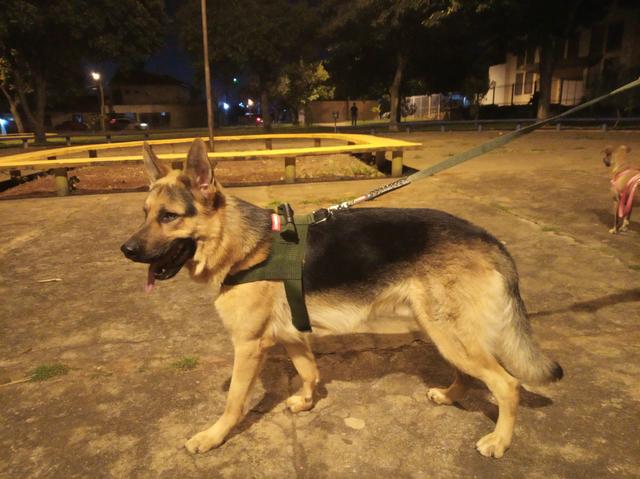 Procuro namorada - Foto 2