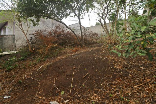 TE0078 Terreno com duas casas no Bairro Alto - Curitiba PR - Foto 20