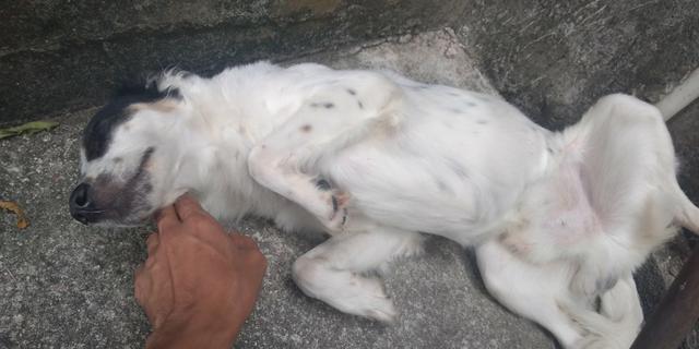 Doação Consciente - Foto 2