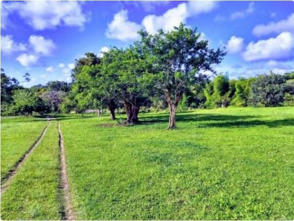 Fazenda à venda, 4190000 m² por R$ 5.600.000,00 - Cidade Nova - Ilhéus/BA