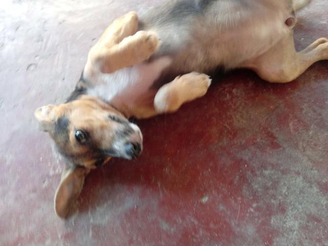 Doação - Foto 3