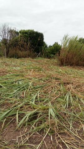 Terreno com escritura - Foto 4