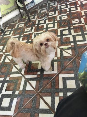 Procuro uma namorada - Foto 2