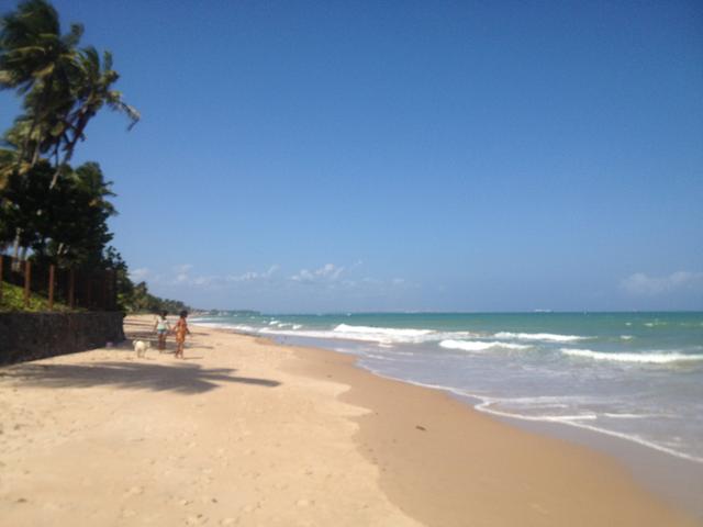 Terreno Iha de Barra Grande em Vera Cruz-Ba - Foto 5