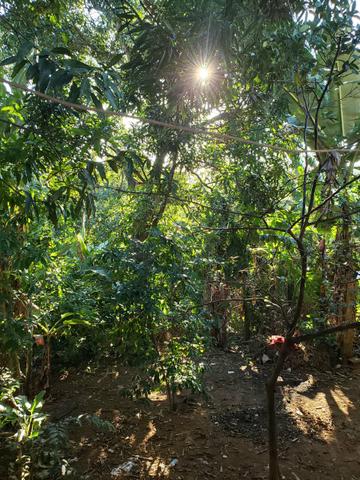 Vende-se casa em Nova Canaã - Cariacica - Foto 10