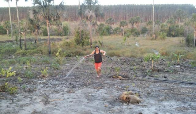 Sitio no Formoso - Buritizeiro MG - Foto 15