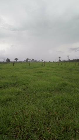 Fazenda - Foto 2