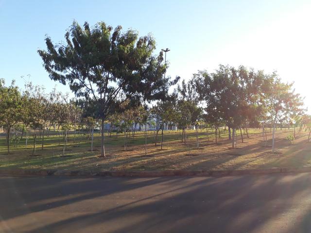 Terreno/lote no Damha Fit Quitado - Foto 6