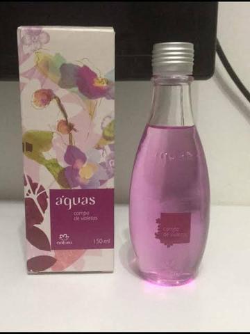 Águas campos de violetas - Foto 2
