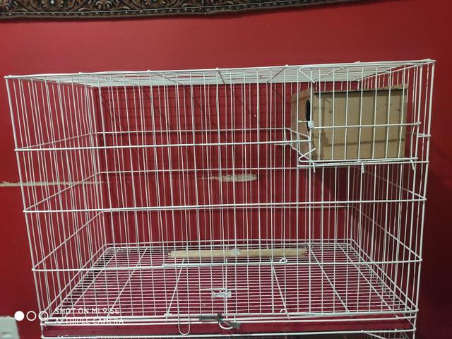 Gaiola de reprodução - Foto 3