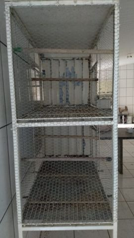 Viveiro Para Aves e Calopsitas - Foto 3