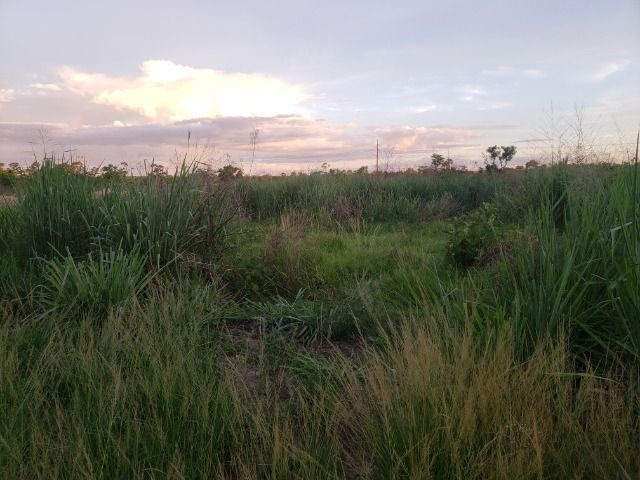 Terreno Real Parque 360m² quitado ac carro no negocio - Foto 3