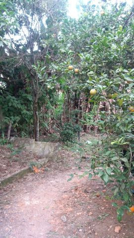 Casa no Arcadia - Foto 10